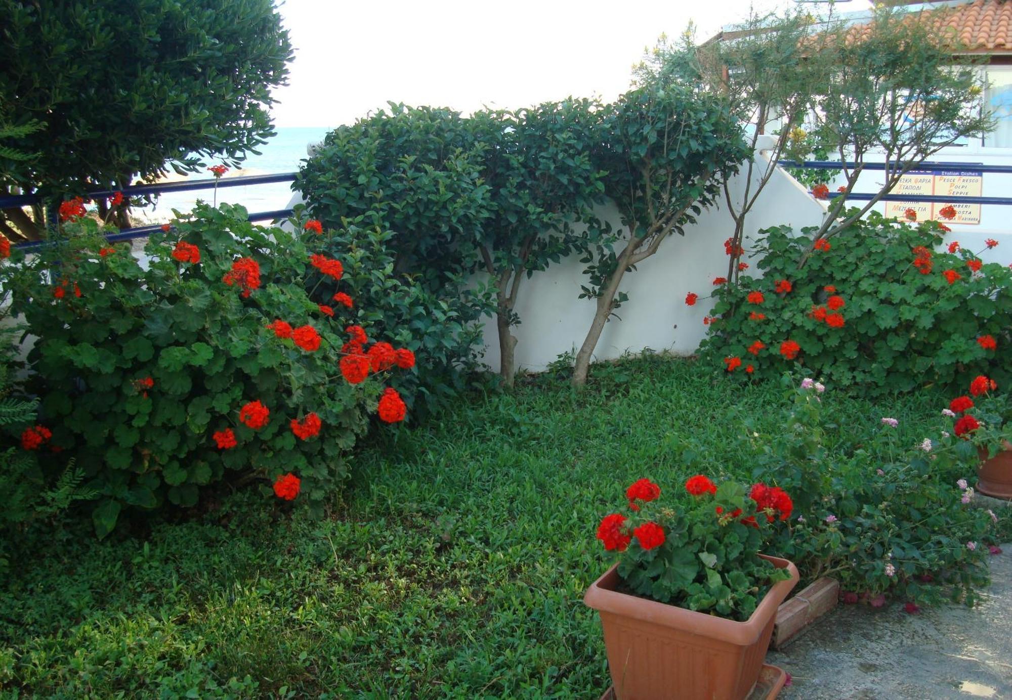 Philippos Studios & Apartments Kardamena  Kültér fotó