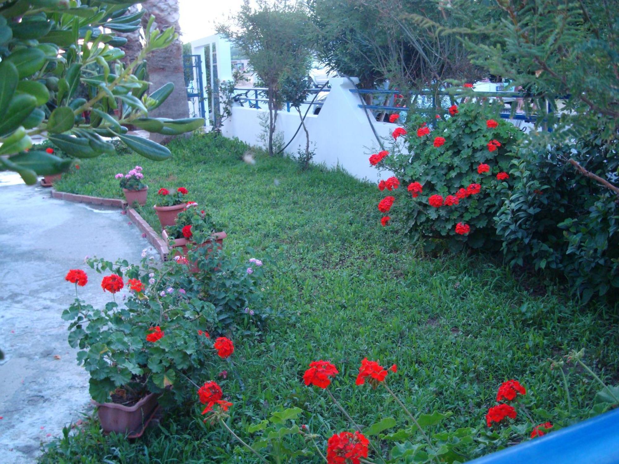 Philippos Studios & Apartments Kardamena  Kültér fotó